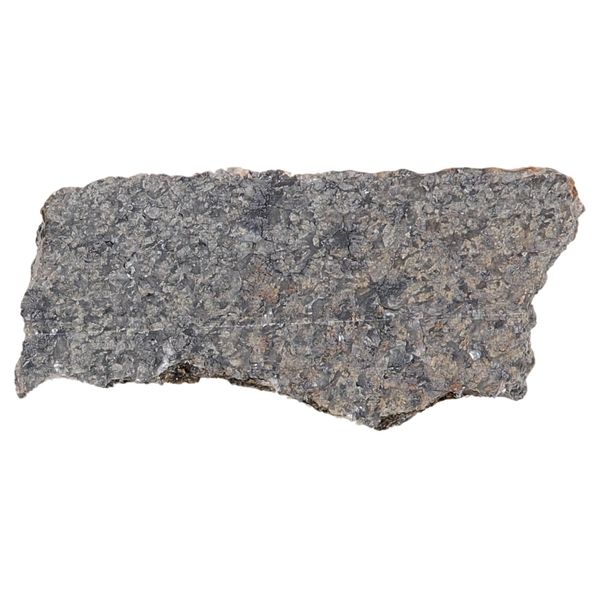 Hovedbilde Mars-meteoritt NWA 17472, 2,64 gram