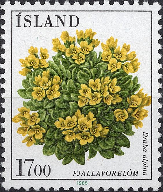Hovedbilde Blomster og planter, Vest-Europa