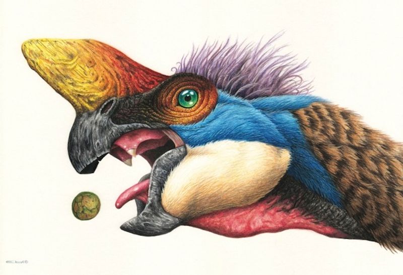 Oviraptor - plakat