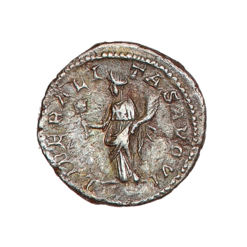 Gladiator, Septimius Severus, denar, 193-211
