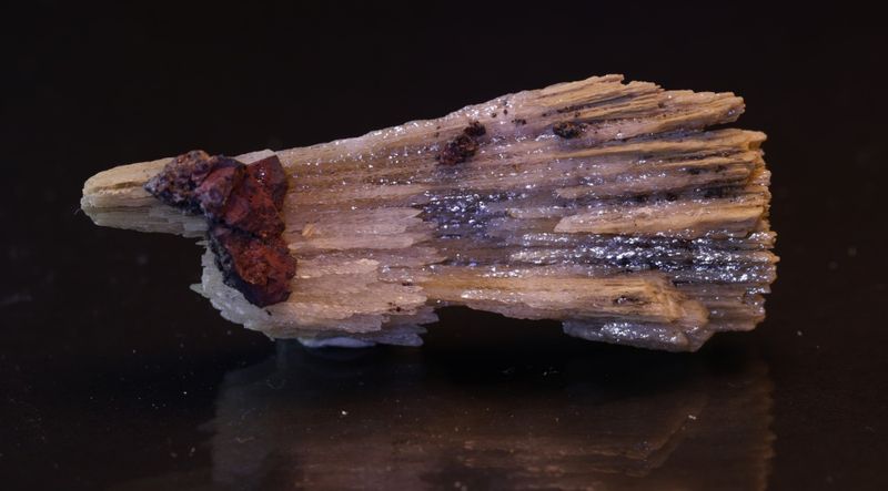 Kutnohoritt, Kalahari