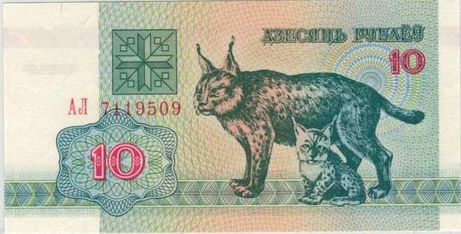 Hovedbilde Belarus, 10 rubler 1992, gaupe