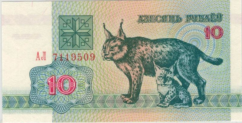 Belarus, 10 rubler 1992, gaupe