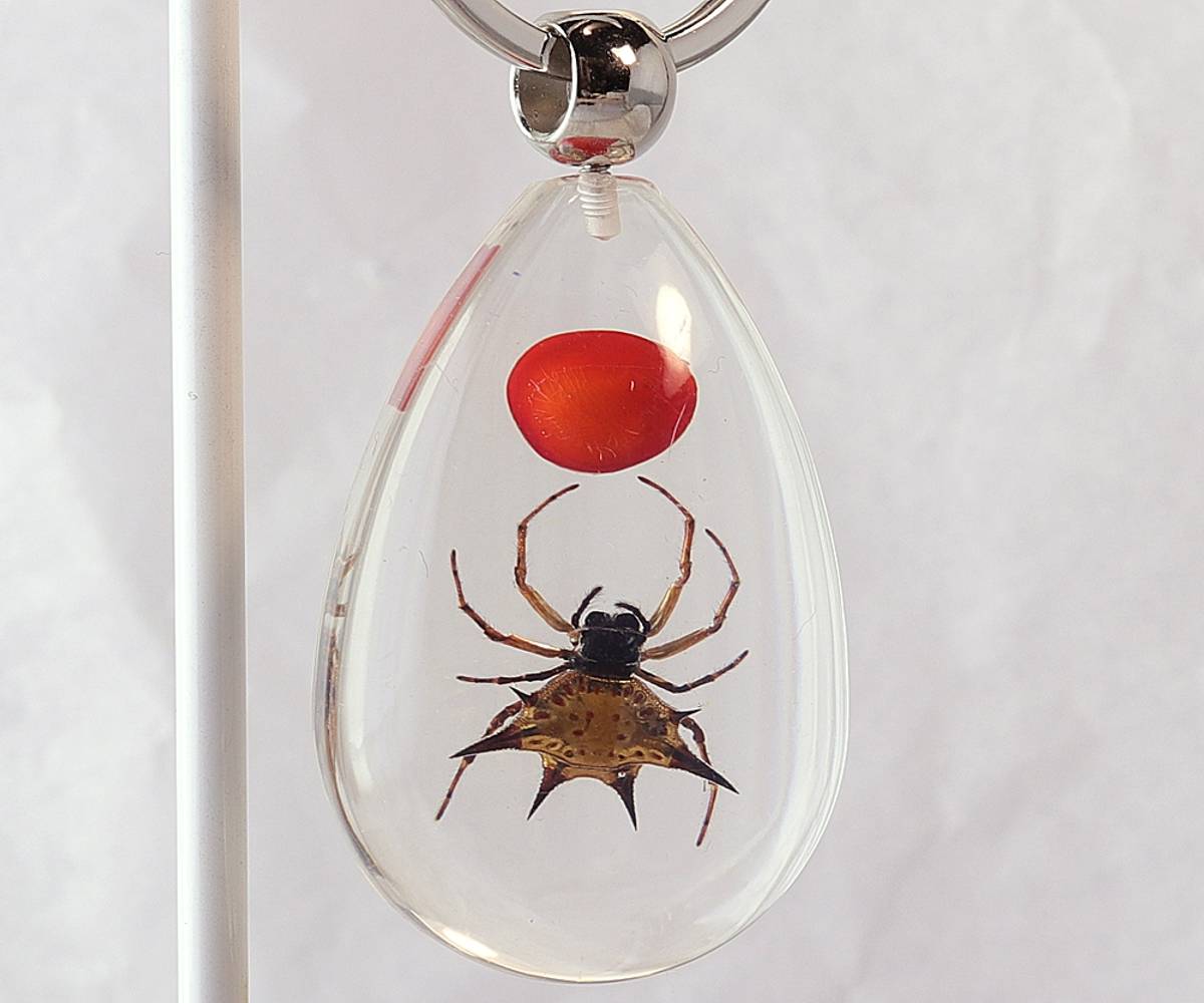 Nøkkelknippe med ekte 