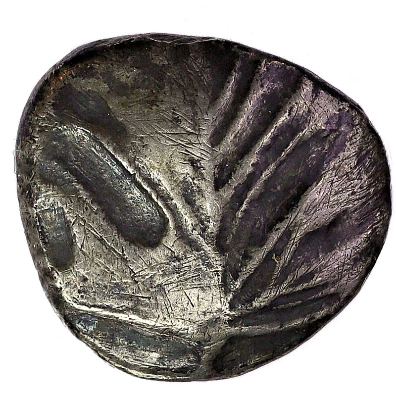 Selinos, didrakme, 540-515 f.Kr.