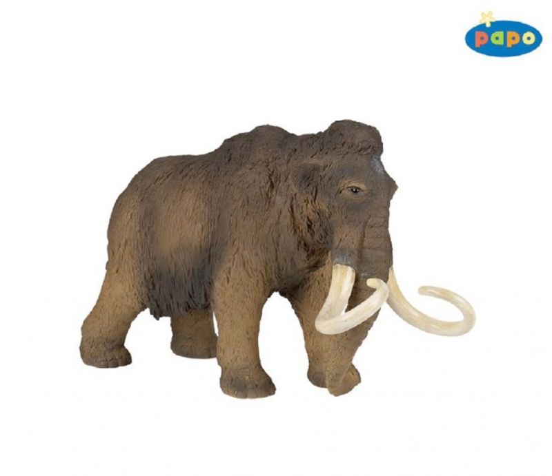 Ullhåret mammut (Mammuthus primigenius)