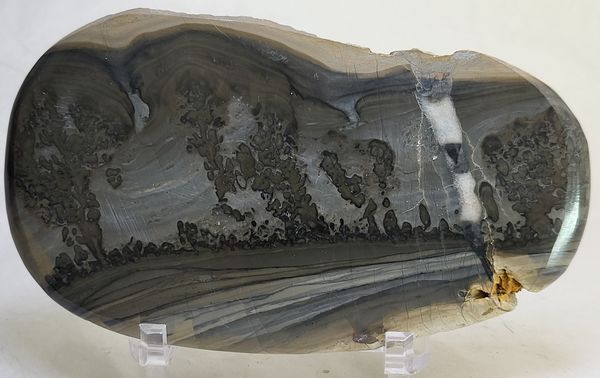 Hovedbilde Cotham Marble, landskapsmarmor