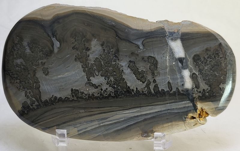 Cotham Marble, landskapsmarmor