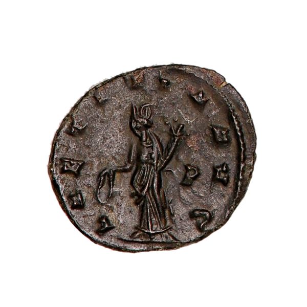 Hovedbilde Claudius II Gothicus, år 268-270
