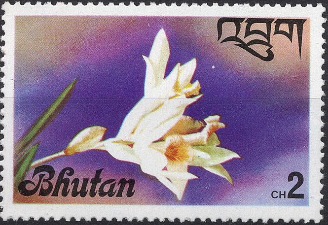 Hovedbilde Blomster og planter, Asia