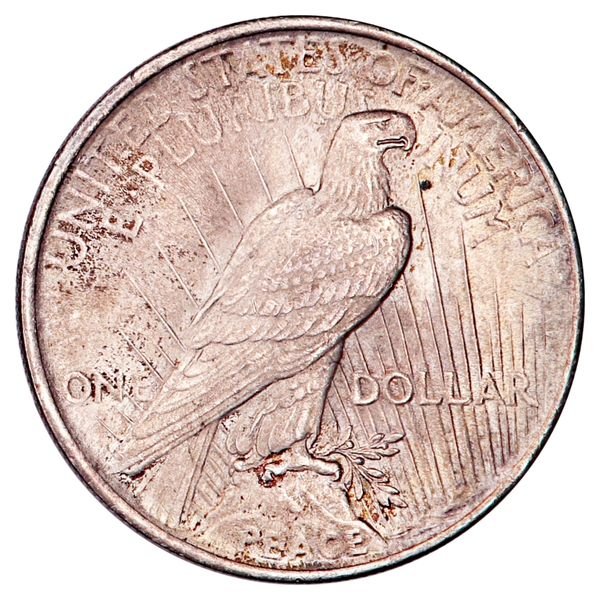 Hovedbilde USA, 1 dollar 1924, Peacedollar