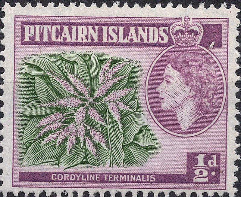 Blomster og planter, Australia og Oceania