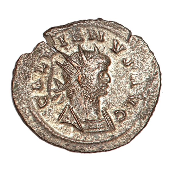Hovedbilde Gallienus, antoninianus,  253-268 