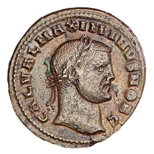 Hovedbilde Maximinus II Daia, follis, år 308-309