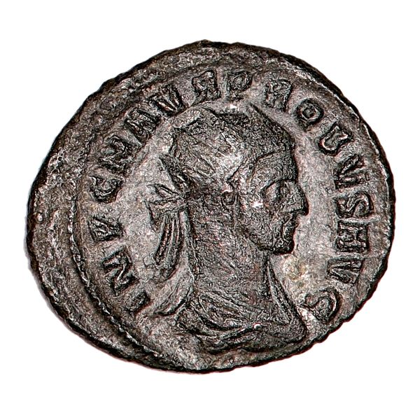 Hovedbilde Probus, antoninian, år 276-282
