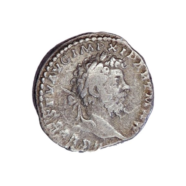 Hovedbilde Septimius Severus. denar. år 193-211
