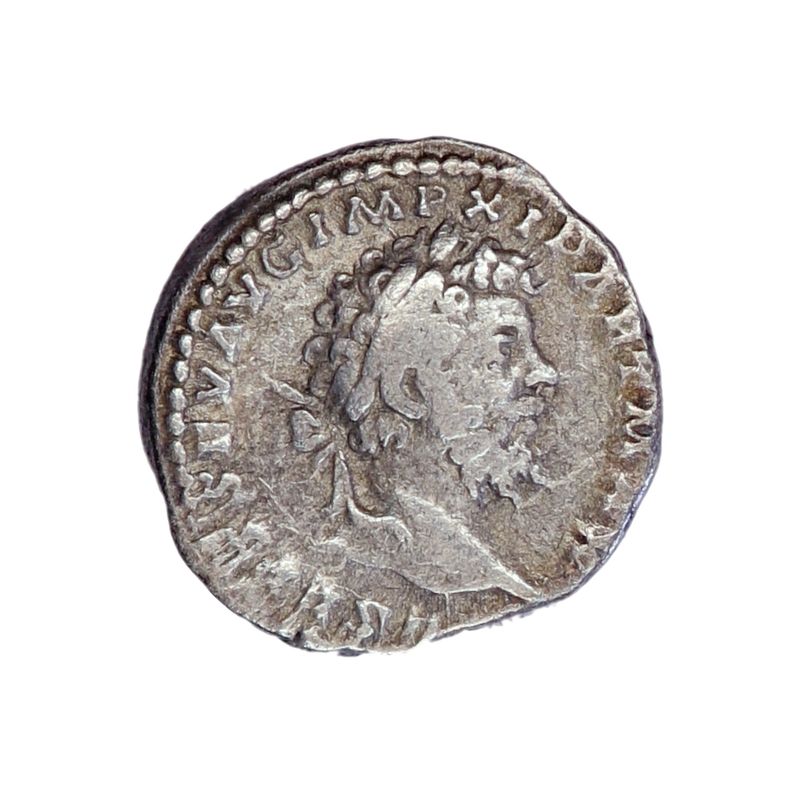 Septimius Severus. denar. år 193-211