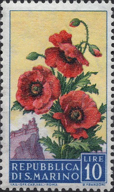 Hovedbilde Blomster og planter, Vest-Europa