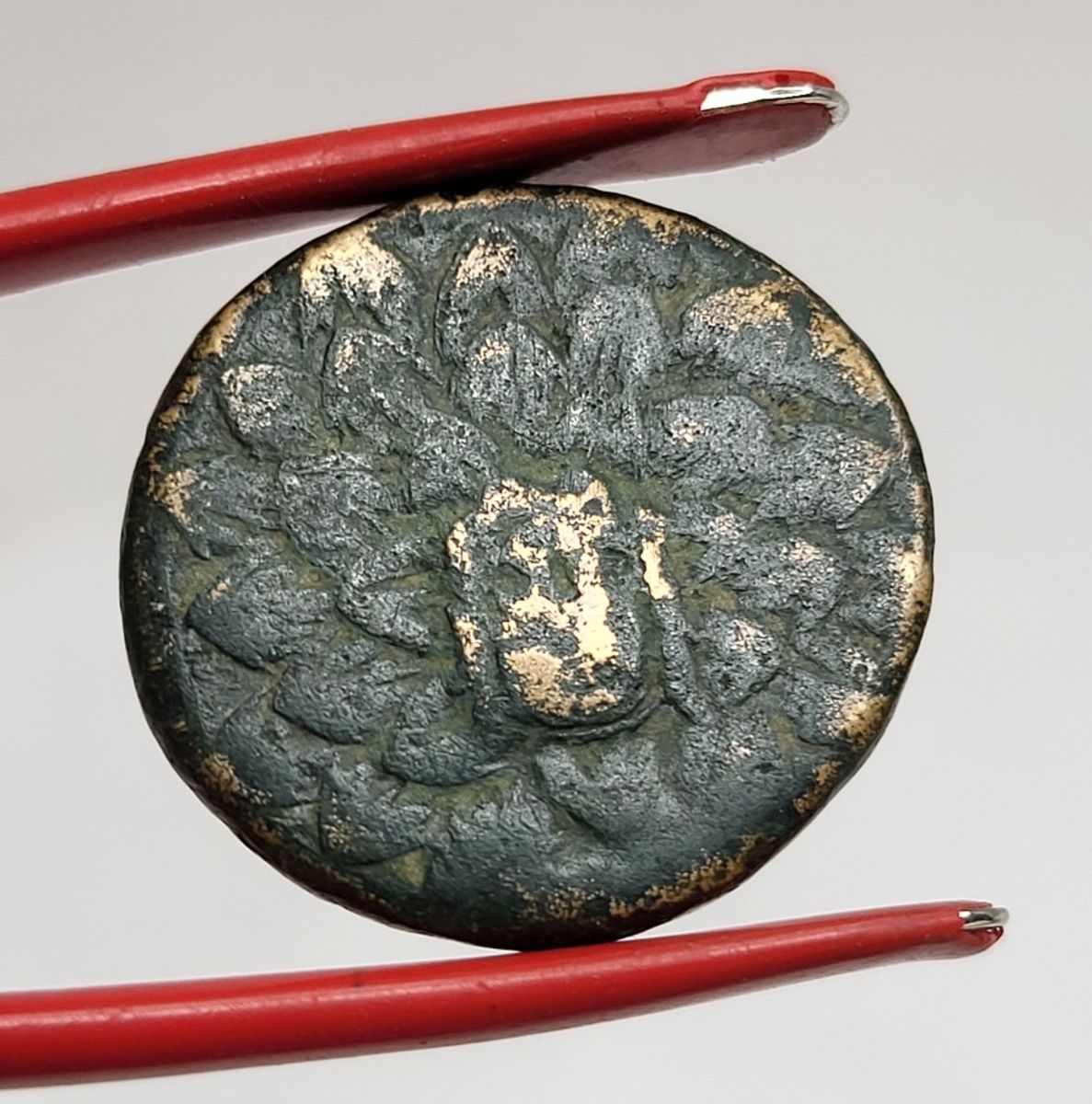 Amisos, Mithradates VI, Medusas hode