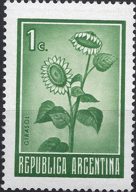 Hovedbilde Blomster og planter, Sør-Amerika