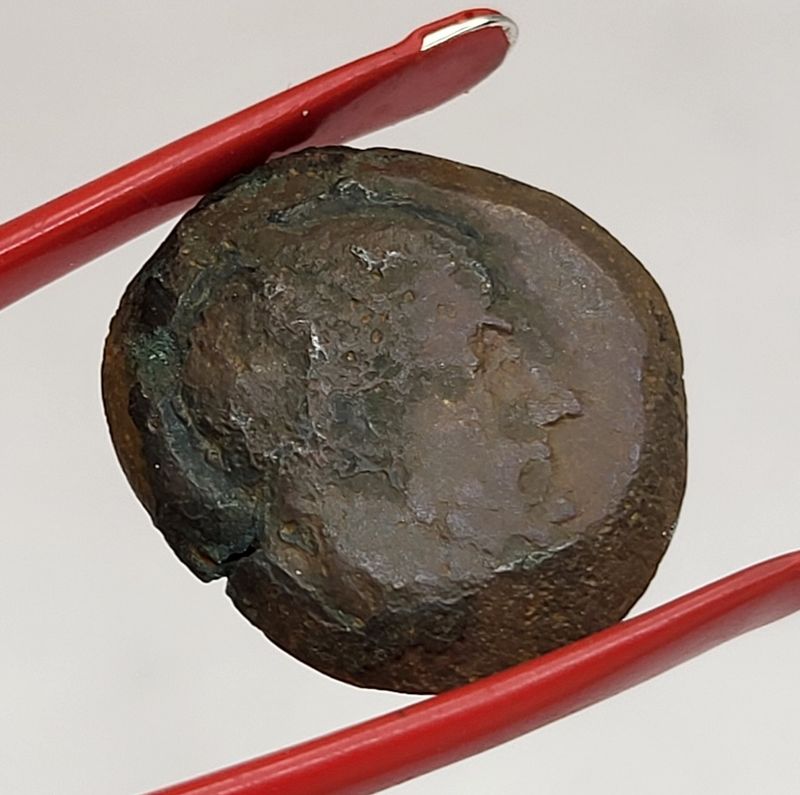 Baktria, Euthydemus I, år 230-190 f.Kr.