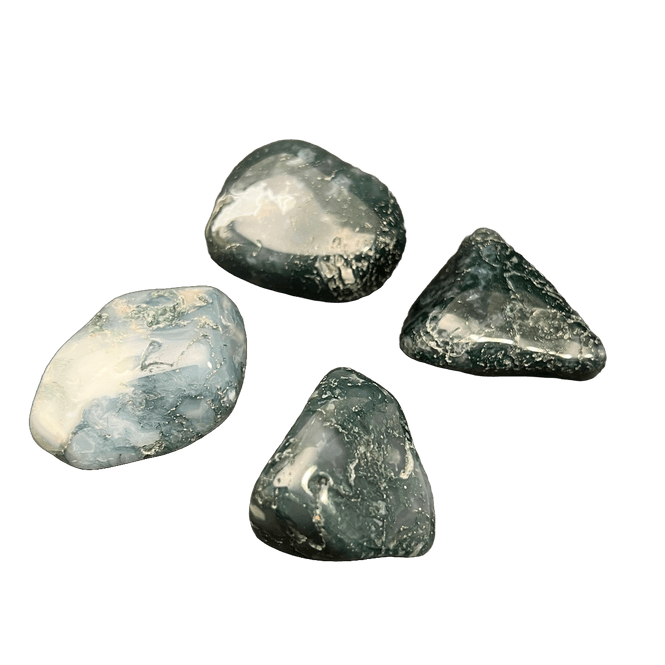 Hovedbilde Moseagat, 3 - 4 cm, tromlet