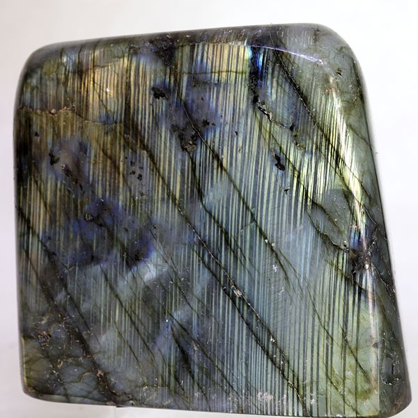 Hovedbilde Labradoritt/spektrolitt, helslipt (labradorite, spectrolite)