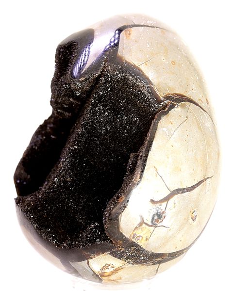 Hovedbilde Septarian (