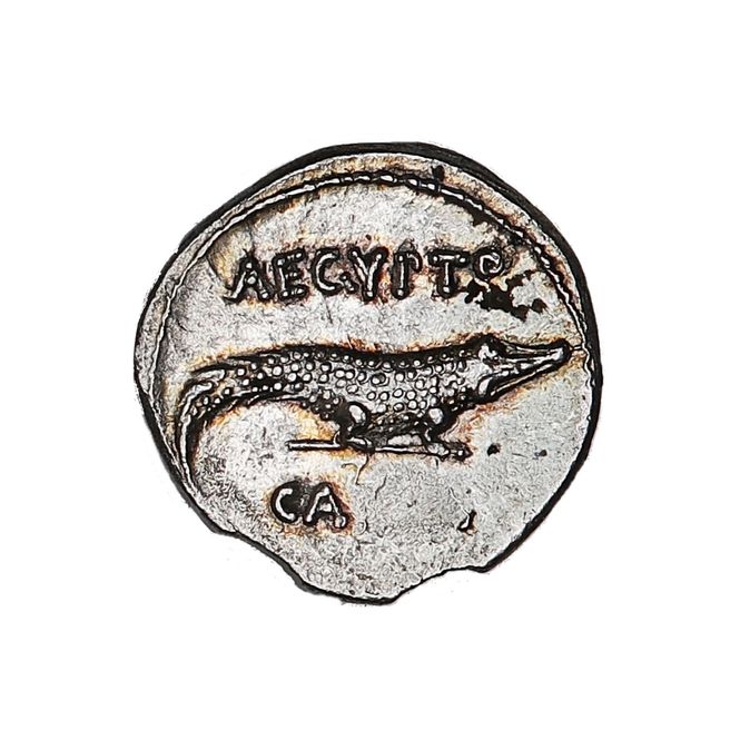 Hovedbilde Augustus, Egypt erobret, krokodille