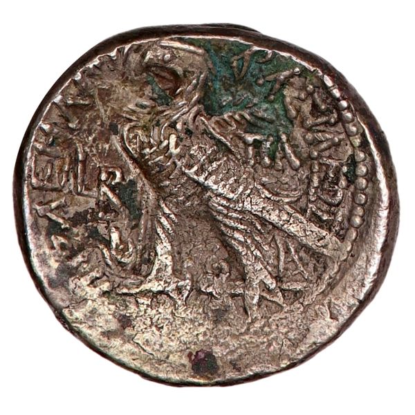 Hovedbilde Cleopatra & Caesarion, tetradrakme, 44-30 f.Kr.