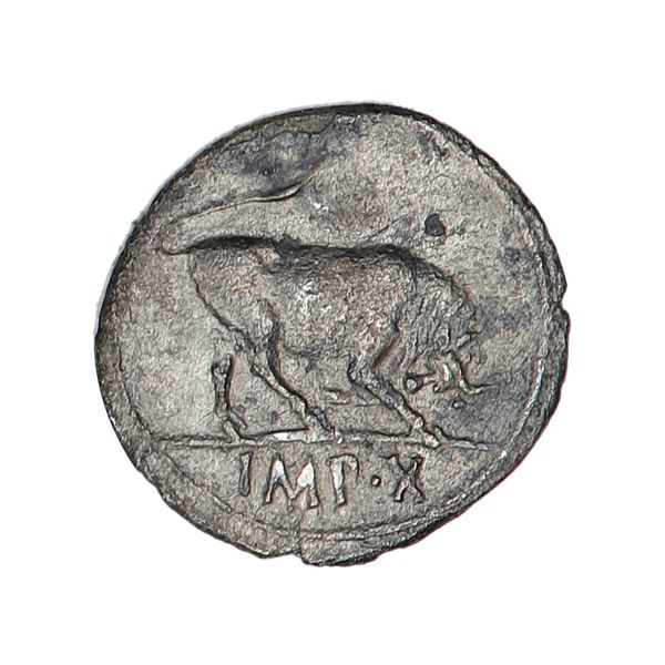 Hovedbilde Augustus, år 27 f.Kr.-14 e.Kr, illsint okse