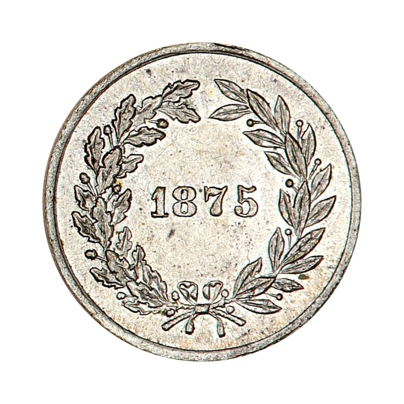 Carl Johan-monumentet, 1875