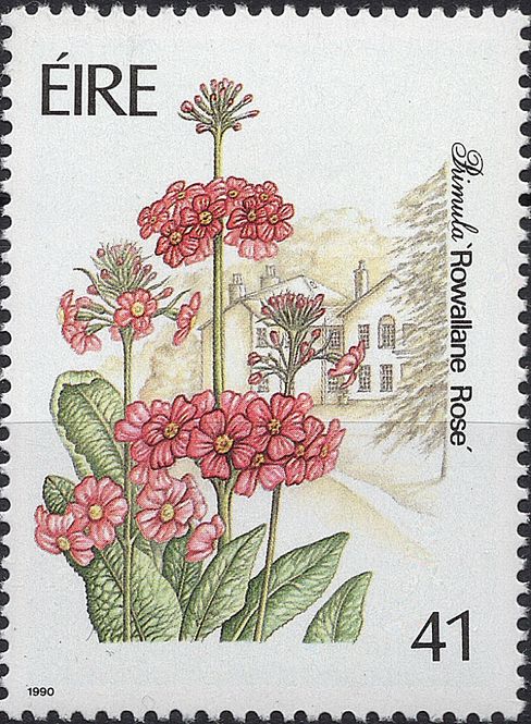 Hovedbilde Blomster og planter, Vest-Europa