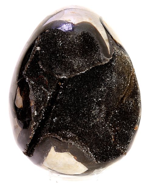 Hovedbilde Septarian (