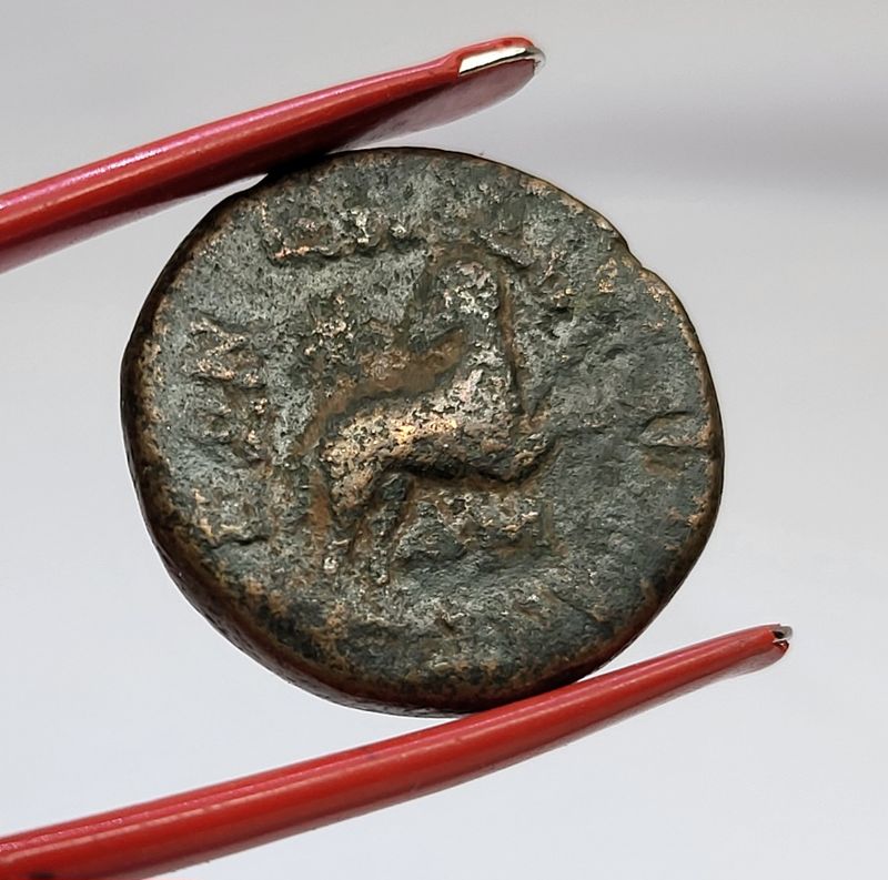 Antiokia, Betlehemsstjernen, 1. årh. f.Kr.
