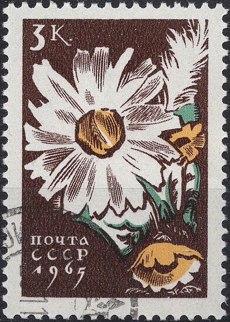 Hovedbilde Blomster og planter, Øst-Europa