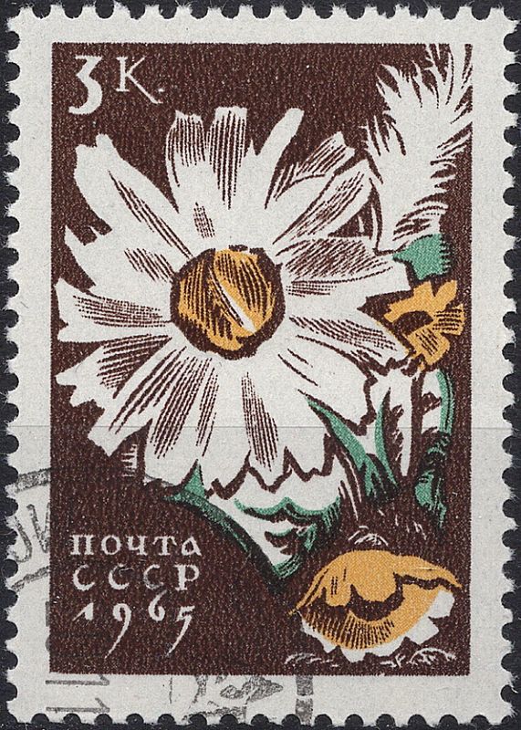 Blomster og planter, Øst-Europa