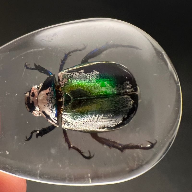 Nøkkelknippe med grønnglinsende tordivel (Scarabaeidae sp.) 